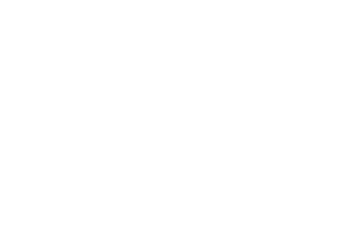 The Willow Center