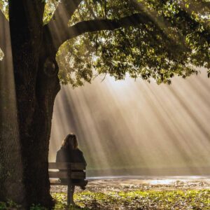 Individual sitting on bench alone